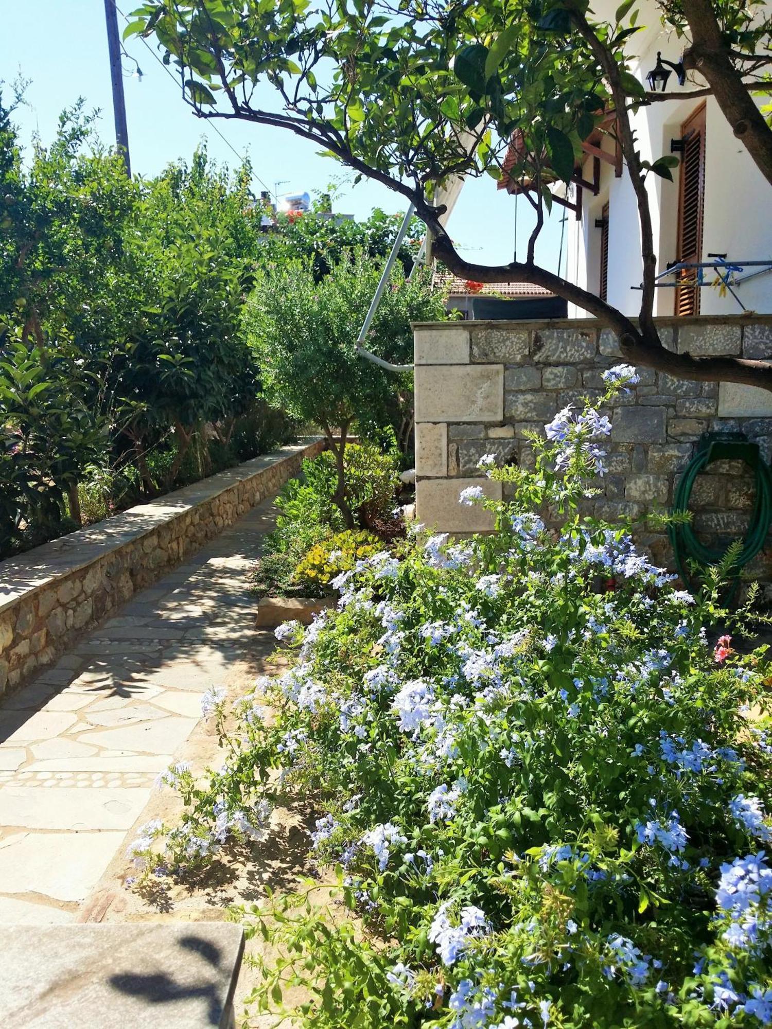 Anna Maria Studios Agios Nikolaos  Bilik gambar