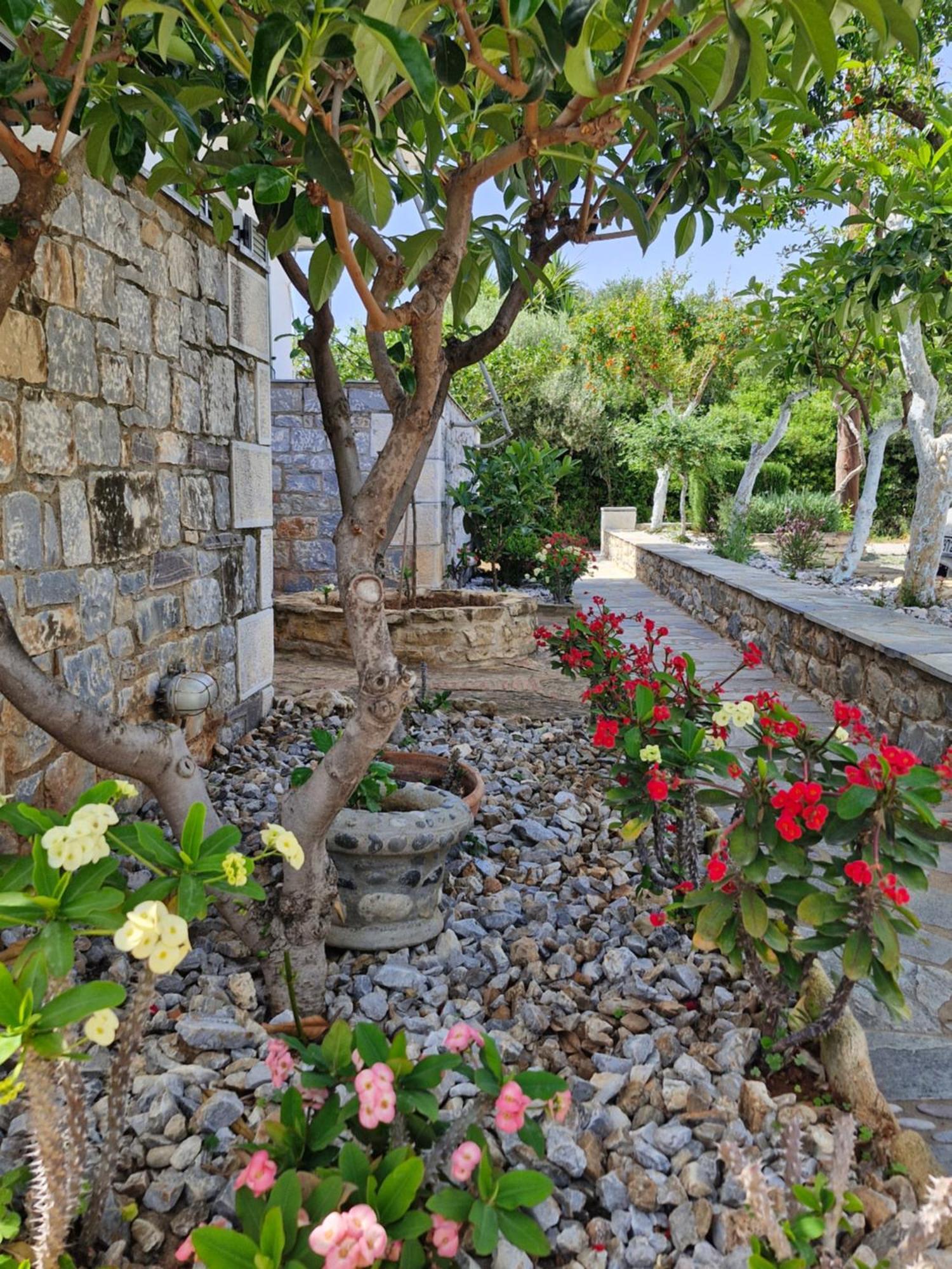 Anna Maria Studios Agios Nikolaos  Luaran gambar