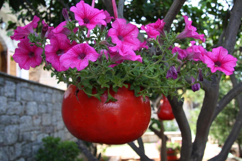 Anna Maria Studios Agios Nikolaos  Luaran gambar