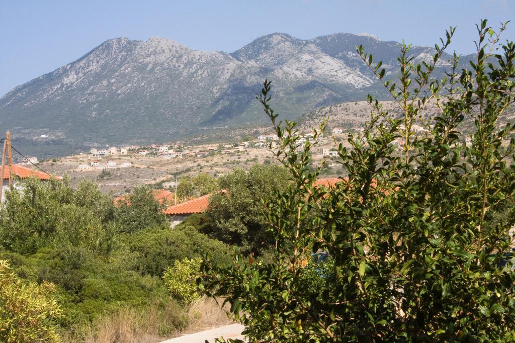 Anna Maria Studios Agios Nikolaos  Bilik gambar